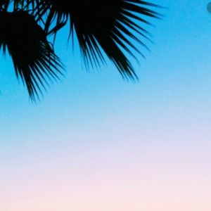 Meet your Posher, Chilly